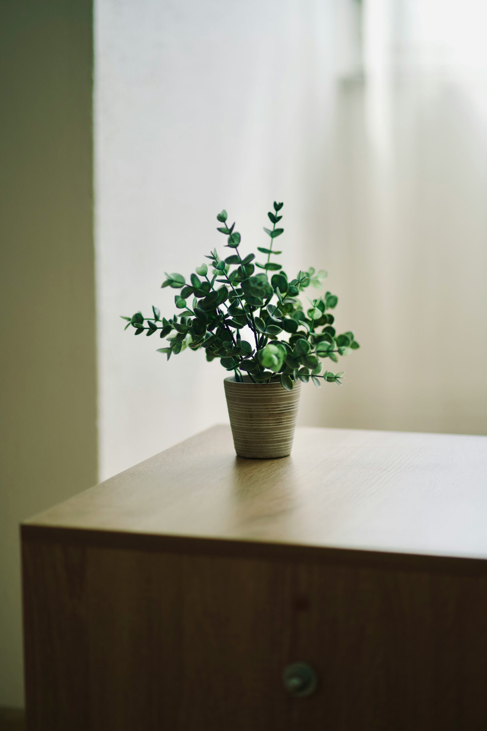 Menemukan Ketenangan dalam Hal-Hal Kecil Saat Hari Berjalan